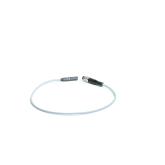 CRSMT-8M-PS-24V-K-0,3-M8D-EX2 